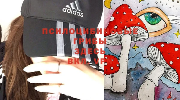 дмт Белокуриха
