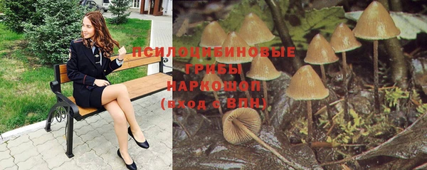 дмт Белокуриха