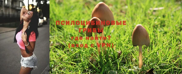 дмт Белокуриха