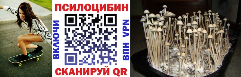 кракен ссылки  купить  сайты  Пыть-Ях  Псилоцибиновые грибы Psilocybe 